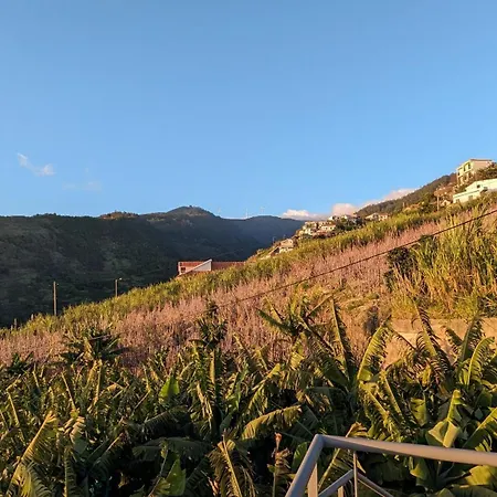 Banana Tree House בית נופש פונטה דו סול