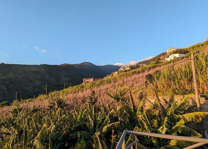 Banana Tree House Nyaraló Ponta do Sol